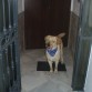 Vamos de paseo,1º cumpleaños